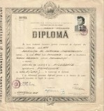 PM501N Diplomă de licență &icirc;n filozofie, specialitatea psihologie, 1977, Universitatea din București