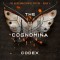 The Cognomina Codex