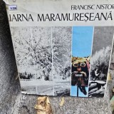 Iarna Maramureseana - Francisc Nistor