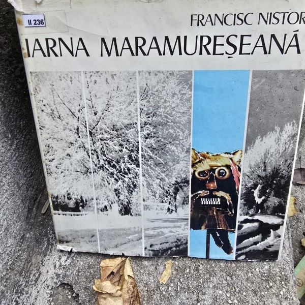 Iarna Maramureseana - Francisc Nistor