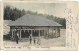 CP770N Tusn&aacute;df&uuml;rdő, Fők&uacute;t, Hauptbrunnen, carte poștală circulată Tușnad &ndash; Făgăraș, 1911, Adler Alfr&eacute;d f&eacute;nyk&eacute;p&eacute;sz, Băile Tușnad, Izvorul principal, Circulata, Printata