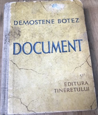 LITR29 Demostene Botez - Document foto