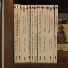 Carti 10 vol din Colectia Istorie cu blazon (ed Corint, reducere 40%)