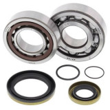 Set rulmenti arbore cotit with gaskets compatibil: GAS GAS EC, MC 200/250/300 2003-2007