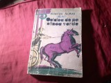 113. Dumitru Almas - Cetatea de pe Stanca Verde - Prima Editie -Tineretului 1959 , ilustratii Silvia Cambir , 220pag - uzata