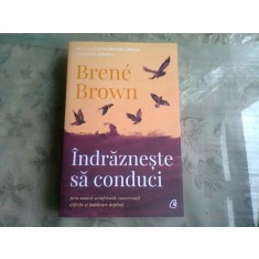 INDRAZNESTE SA CONDUCI - BRENE BROWN