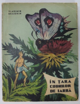 IN TARA CODRILOR DE IARBA de VLADIMIR BRAGHIN , 1962 *COPERTA BROSATA foto