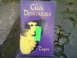 CALEA DESAVARSIRII - TAGORE