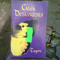 CALEA DESAVARSIRII - TAGORE