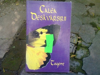 CALEA DESAVARSIRII - TAGORE foto