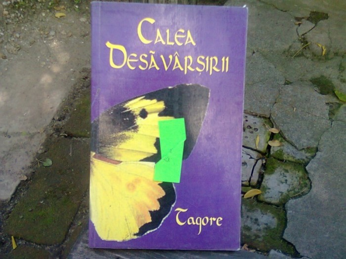 CALEA DESAVARSIRII - TAGORE