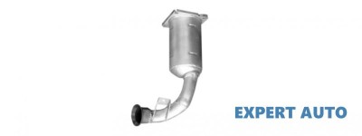 Catalizator Peugeot 206 (1998-&amp;gt;)[2A/C] foto