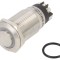 Comutator Anti-Vandalism 2 Poz SPDT 3A/220VAC 5A/24VDC IP65