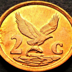 Moneda exotica 2 CENTI - AFRICA de SUD, anul 1998 *cod 5303 = AFURIKA TSHIPEMBE