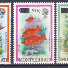 DB1 Fauna Marina Pesti Montserrat 1983 Supratipare 5 v. MNH