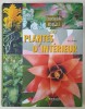 ENCYCLOPEDIE VISUELLE DES PLANTES D &#039;INTERIEUR par ODILE KOENIG , 2005