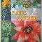 ENCYCLOPEDIE VISUELLE DES PLANTES D &#039;INTERIEUR par ODILE KOENIG , 2005