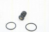 Termostat,lichid racire SKODA FABIA I (6Y2) (1999 - 2008) TRISCAN 8620 10187