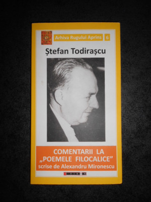 STEFAN TODIRASCU - COMENTARII LA POEMELE FILOCALICE SCRISE DE A. MIRONESCU foto