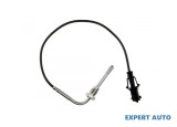 Senzor temperatura gaze dpf Fiat Ducato (2006-&gt;) [250] #1
