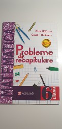 Probleme de recapitulare, Artur Bălăucă, clasa a 6a