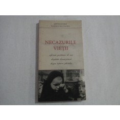 NECAZURILE VIETII - Arhimandrit Vasilios BACOIANIS