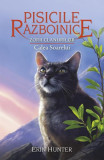 Pisicile Razboinice - Vol 25 - Zorii clanurilor Calea Soarelui
