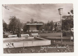 AT5 -Carte Postala-AUSTRIA- Dornbirn, Stadtpark , circulata 1970, Fotografie