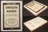 MAGIE. CONSTELATIA MAGICULUI. O Viziune ROMANEASCA asupra MISTERULUI EXISTENTIAL. &ndash; Vasile Avram 280 pag 1994 Univ. Crestina Nasaud Stare ca noua