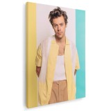 Tablou Harry Styles cantaret 2086 Tablou canvas pe panza CU RAMA 50x70 cm