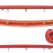 Stop frana suplimentar Audi Tt (8j), 05.2006-09.2014, OE, Spate, LED; omologare: ECE;