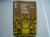 Cronica unei familii de sasi ardeleni - Otto Fritz Jickeli, Alta editura