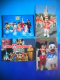 HOPCT LOT NR 476 PERSONAJE DINEY-DISNEY WORLD -4 CARTI POSTALE-CIRCULATE, Circulata, Printata