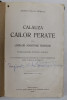 CALAUZA CAILOR FERATE SI A LINIILOR MARITIME ROMANE (1914)