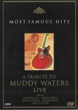 Various - A Tribute To Muddy Waters, DVD-V