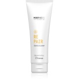 Framesi Morphosis Repair balsam pentru regenerare pantru par uscat si deteriorat 250 ml