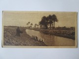 Carte postala 150 x 75 mm necirculata Egipt-Un peisaj langa Cairo anii 20, Printata