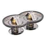 Febi Bilstein termostat, lichid racire