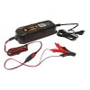 Incarcator Baterie Auto Inteligent Carpoint 6-12V, 3.8A, Plumb-Acid, Gel, AGM
