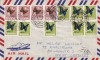 FILATELIE TEMATICA - PLIC TANZANIA TEMATICA INSECTE FLUTURI AIRMAIL, Fauna, Stampilat