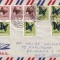 FILATELIE TEMATICA - PLIC TANZANIA TEMATICA INSECTE FLUTURI AIRMAIL