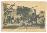 3606 - ALEXANDERFELD, Cahul, Moldova, Basarabia - old postcard - unused
