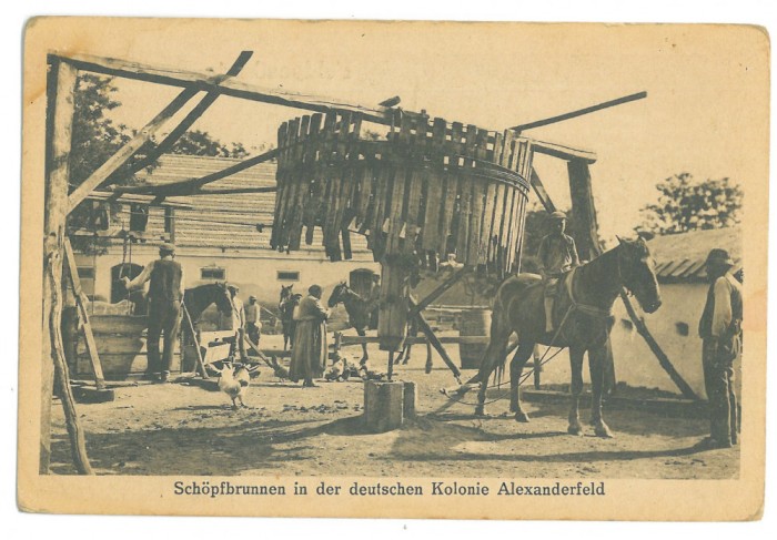 3606 - ALEXANDERFELD, Cahul, Moldova, Basarabia - old postcard - unused