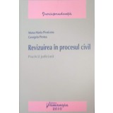 REVIZUIREA IN PROCESUL CIVIL. PRACTICA JUDICIARA-MONA-MARIA PIVNICERU, GEORGETA PROTEA-223502