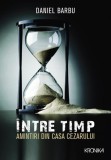 Cumpara ieftin &Icirc;ntre timp - Paperback brosat - Daniel Barbu - Litera