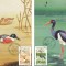 |Romania, LP 1485/1999, Europa &#039;99, Rezervatii naturale, Delta Dunarii, maxime
