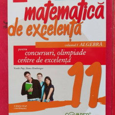 MATEMATICA DE EXCELENTA , ALGEBRA VOL 1 CLASA A 11 A , HEUBERGER , VASILE POP