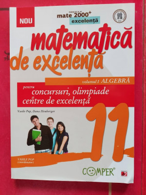 MATEMATICA DE EXCELENTA , ALGEBRA VOL 1 CLASA A 11 A , HEUBERGER , VASILE POP foto