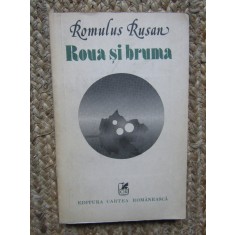 Roua si bruma - Romulus Rusan