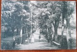 Carte postala, Ocnele Muresului, parcul bailor, 1916